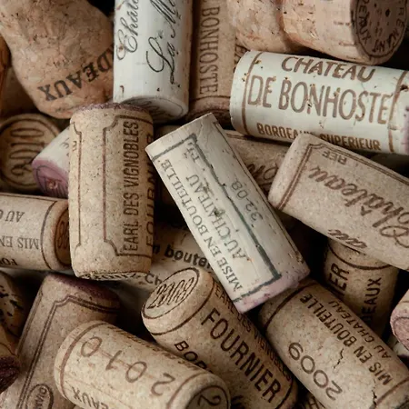 Bed & Breakfast Coup 2 Foudres Saint-Jean-de-Blaignac