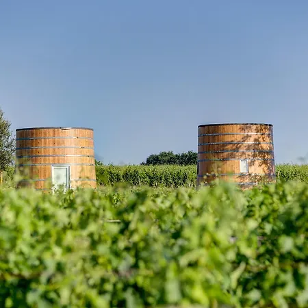 Coup 2 Foudres Bed & Breakfast Saint-Jean-de-Blaignac