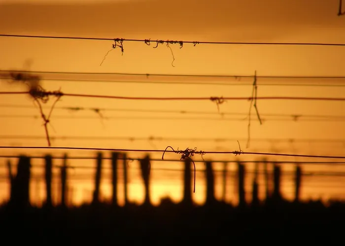 Coup 2 Foudres Saint-Jean-de-Blaignac