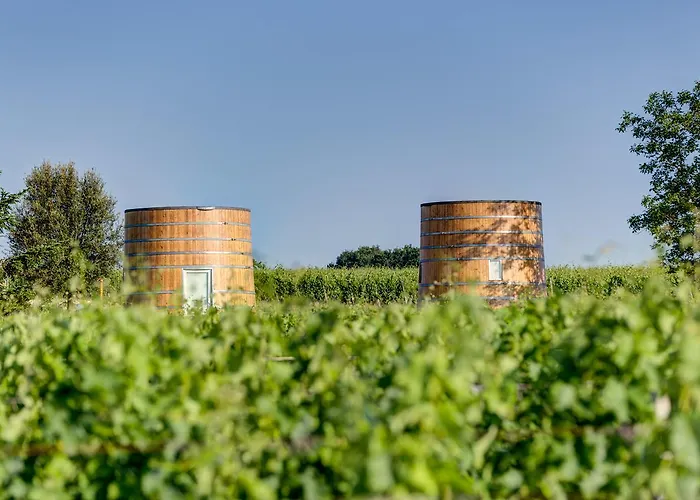 Coup 2 Foudres Bed & Breakfast Saint-Jean-de-Blaignac